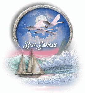 Gif animé Bon samedi bateau